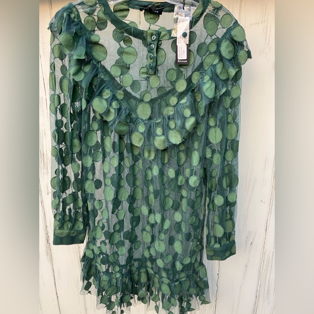Reveuse Green Sheer Polka Dot Dress Size S NWT